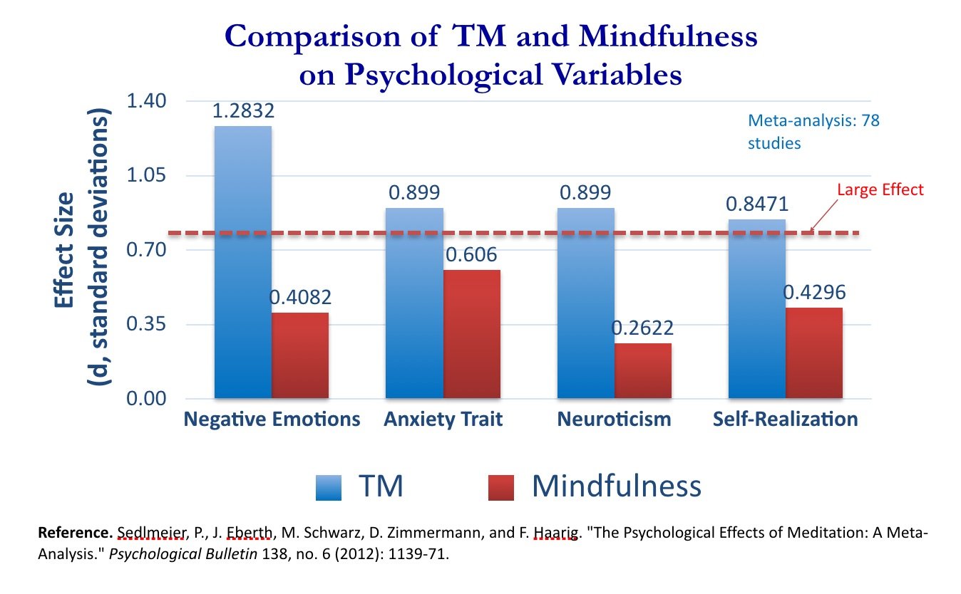 midfullnessand meditation- slide - edited